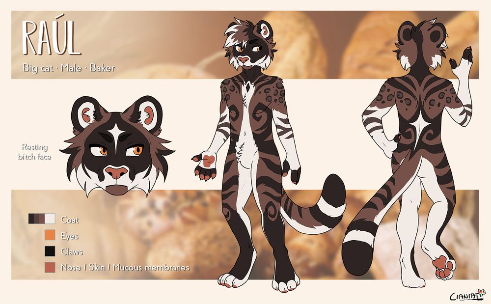 Chocolate brown big cat with darker brown tiger stripes and snow leopard spots. White belly, snout and arms.