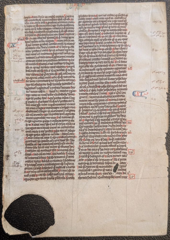 Folio from a mid-13th century English pocket Bible manuscript with text in two columns from the Gospel of John 9:36-12:15, with a large hole of split scar tissue at the lower left corner, and with numerous scribal corrections and textual annotations and references in the margins, some of them framed in red.