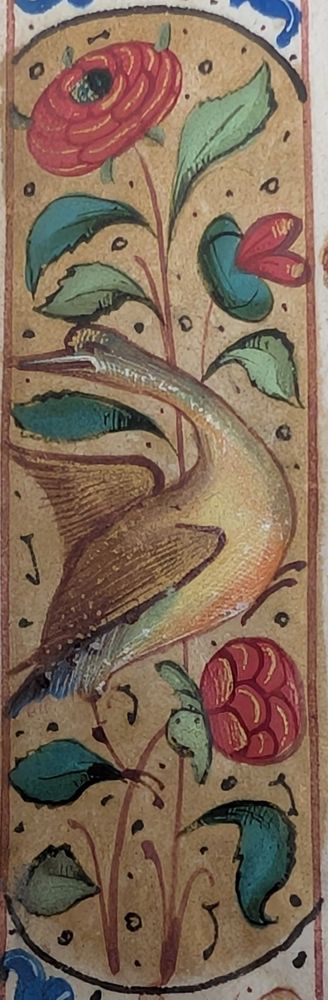 Illuminated leaf from a late-15th century French Book of Hours, featuring a close up of an illuminated bird in the folio's margin.