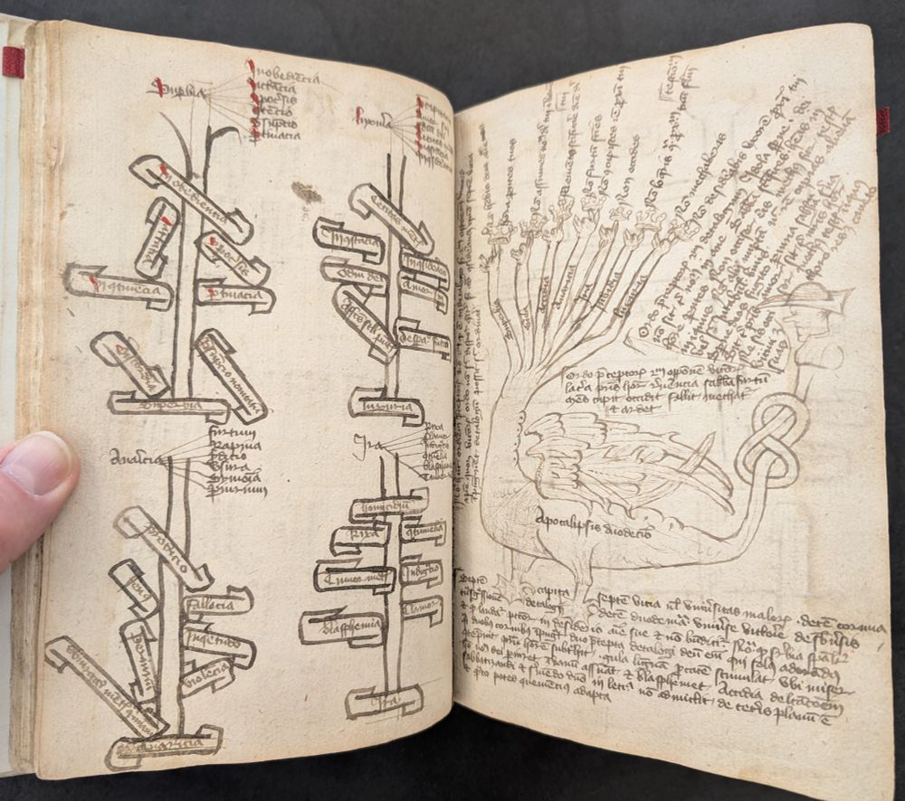 Schematic diagrams of the deadly sins facing an illustration of the Scarlet Beast of the Apocalypse in a mid-15th century collection of pastoral and assorted works. Ohio State University, Rare Books & Manuscripts Library, Spec.Rare.MS.MR.Cod.97.