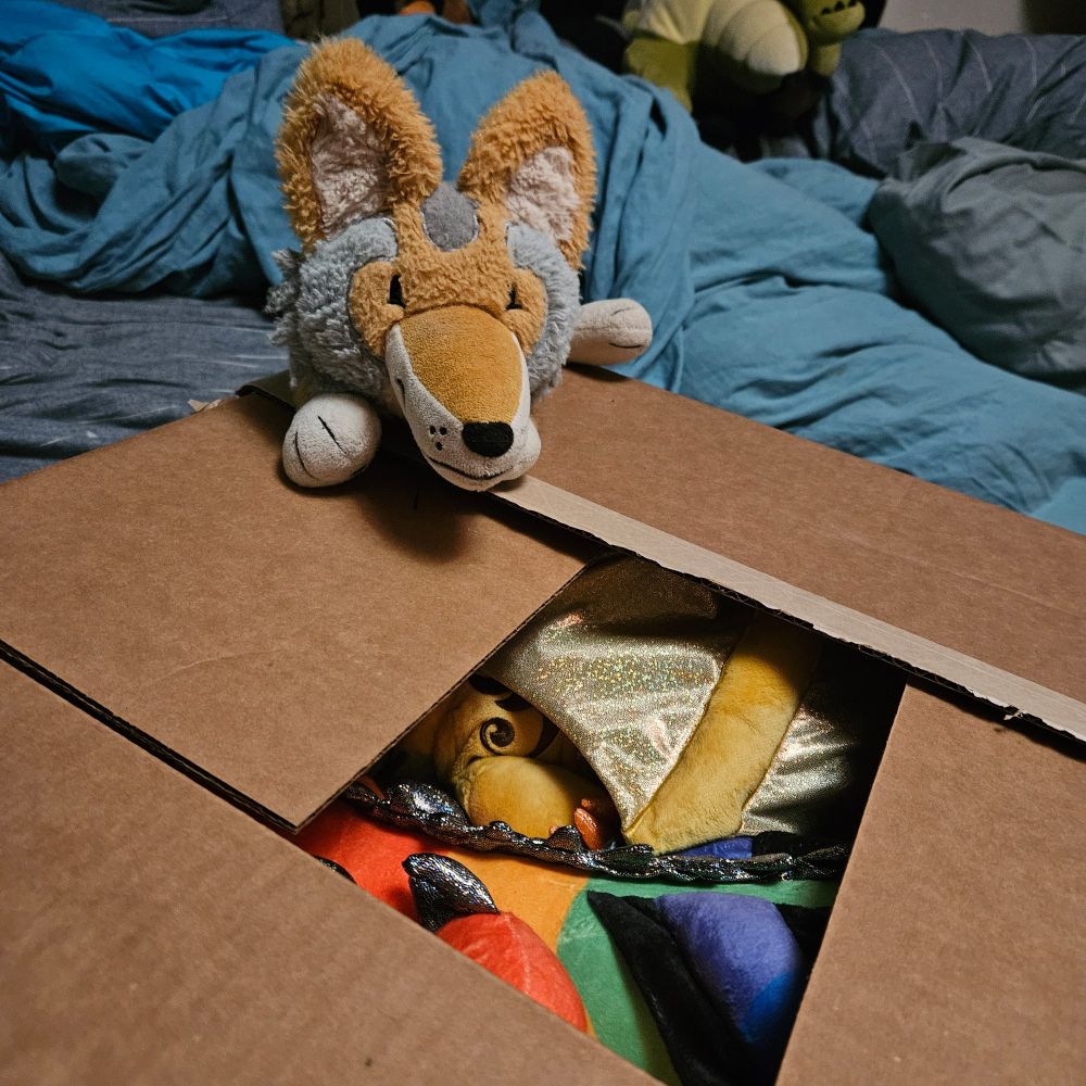 A plush coyote looks into a box with some colorful things inside