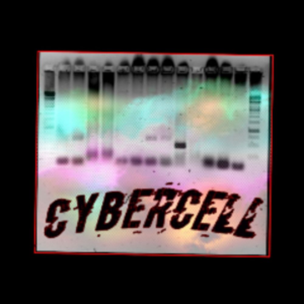 bcybercell - Twitch