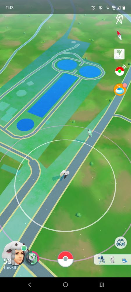 Kartenansicht aus dem Spiel Pokemon Go. Zu sehen sind die Klärteiche einer Kläranlage, sie erwecken durch die Lage (zwei kleine, runde Teiche unten, dann ein langer, eckiger Teich und oben mittig wieder ein kleiner, runder Teich) den Anschein der Darstellung eines stilisierten männlichen Geschlechtsteils. 