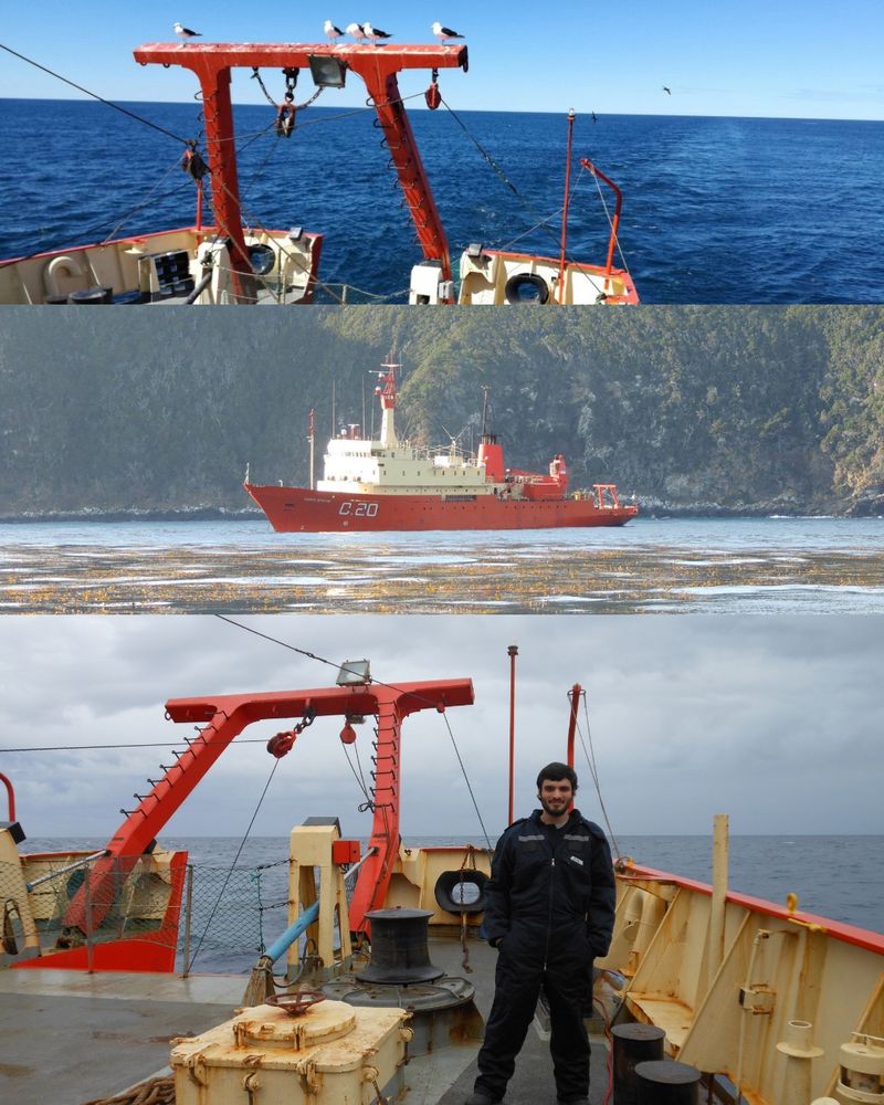 As an early-career researcher, I am deeply grateful and excited to have received the @DSBSoc Support Award. This funding will help me incorporate essential molecular methods, enhance the scope of my studies, and foster new collaborations with international researchers who share a passion for deep-sea biodiversity.

(Image: Several shots of the RV Puerto Deseado and Jonathan Flores on the deck.)