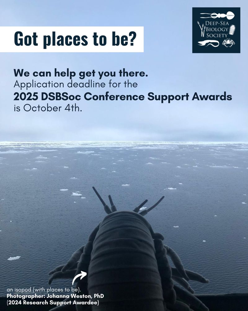 Image of a stuffed isopod facing a semi-frozen ocean. Text: Got places to be? We can help you get there. Application deadline for the 2025 DSBSoc Conference Support Awards is October 4th. Photograph credit: Johanna Weston, PhD.