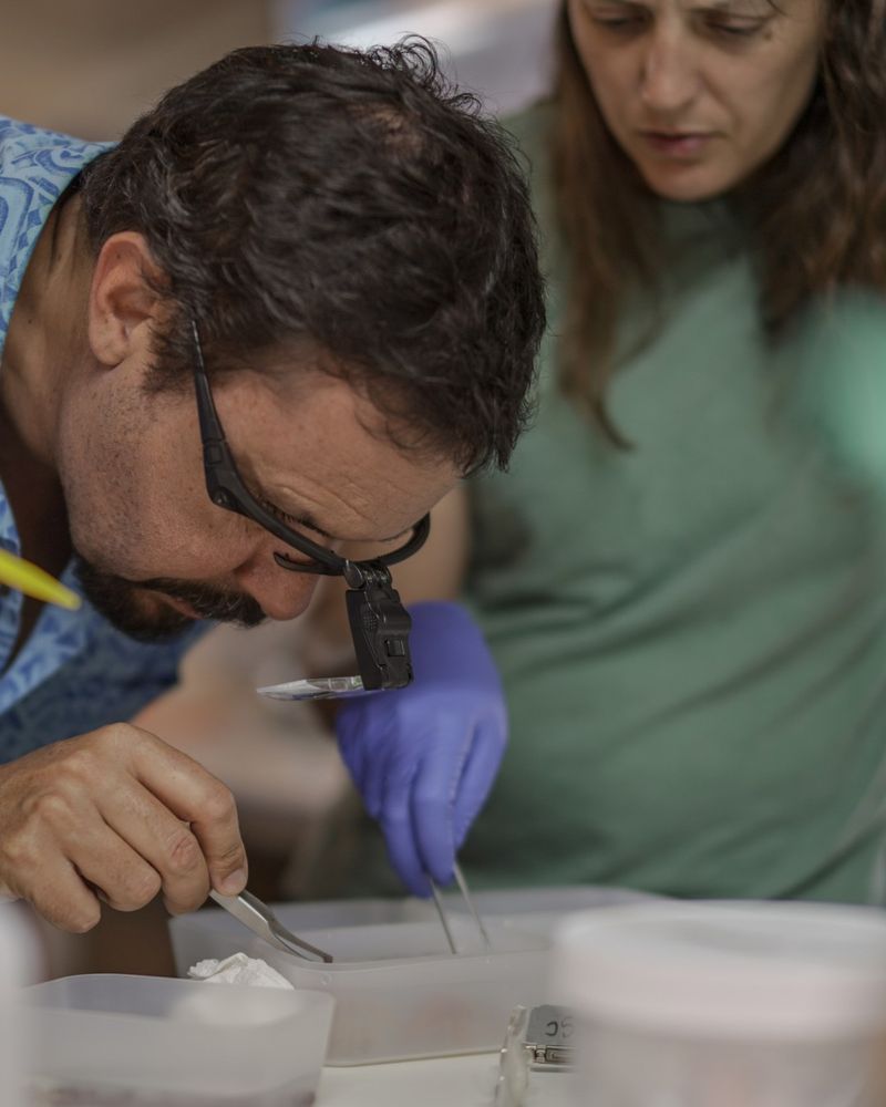 Photo of Javier Sellanes in the foreground wearing magnifying glasses and examining something with tweezers. Erin Easton is in the background wearing lab gloves and holding tweezers.