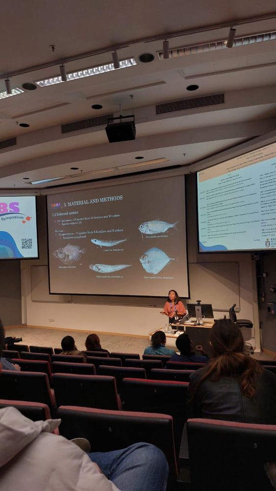 "I also gained valuable experience working in the field, performing practical tasks such as sorting specimens, collecting tissue samples for molecular analysis, sampling water for #eDNA, and more. This experience helped me discover how much I enjoy working on board and engaging in hands-on activities!"

(Image: Flávia presenting at 17DSBS in an auditorium. There are three projector screens: one with the 17DSBS logo, the central one showcasing a slide (selected deep-sea species from her Material and Methods) of Flávia’s presentation, and the final screen (presumably) listing the 17DSBS presentation schedule. )