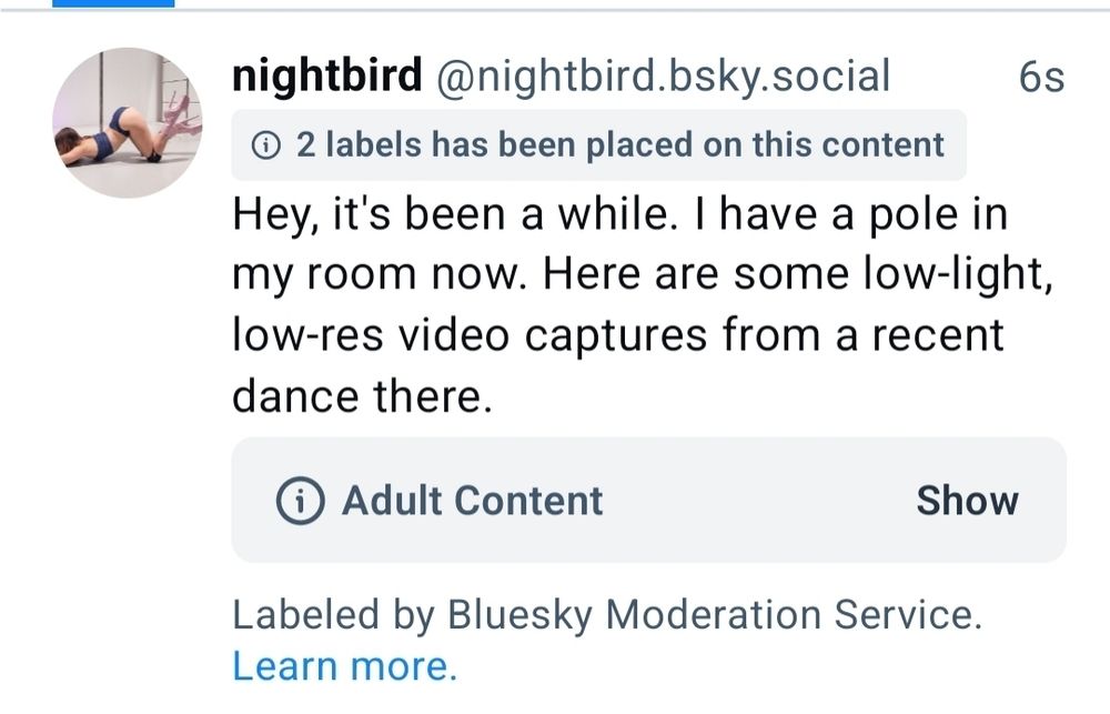 A notice from bluesky on my last post, saying "2 labels has been placed on this content"
