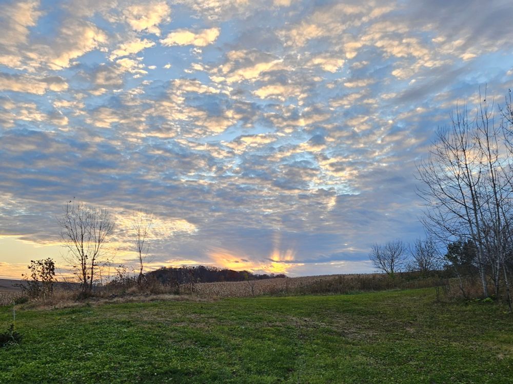 A sunset sends rays of light into blue-grey clouds filling the sky over a meadow and, behind it, a cornfield just harvested 