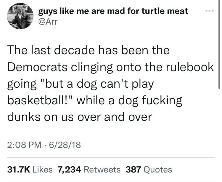 a 2018 tweet from @arr that reads: The last decade has been the Democrats clinging onto the rulebook going "but a dog can't play basketball!" while a dog fucking dunks on us over and over
