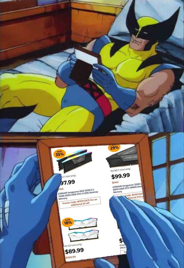 Edit of the Wolverine Remembers meme. Top frame, Wolverine (as portrayed in the 1993 X-Men animated series) lays on his back in a bed, holding and staring longingly at a picture frame. Bottom frame, the front of the frame now fills the view, Wolverine’s left hand holds the frame, Wolverine’s right hand lightly touches the picture on the frame.

The picture in the frame is a screenshot of 2024’s Black Friday RAM prices. Multiple 32gb kits are priced below $100 (RAM prices have tripled in the past few months).