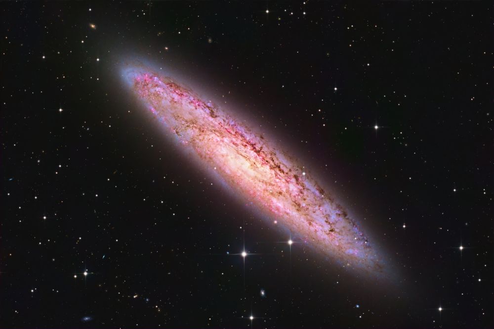 A galaxy with a bright yellow/gold core, outer blue rim, and intense dust lanes. ET likely phoned home here.