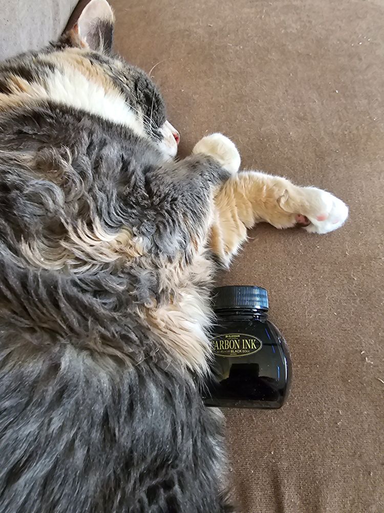Bottle of Platinum Carbon Black ink next to my cat. 