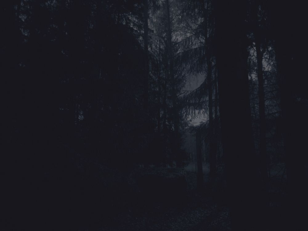 The same scene but much darker, with practically no color left, everything shifted towards a bluish-gray and with much less contrast, and looking slightly blurry