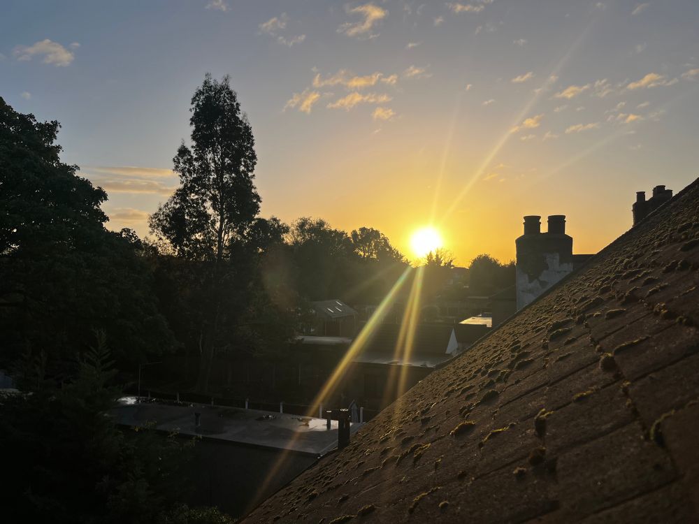 An autumn sunrise over rooftops and trees.