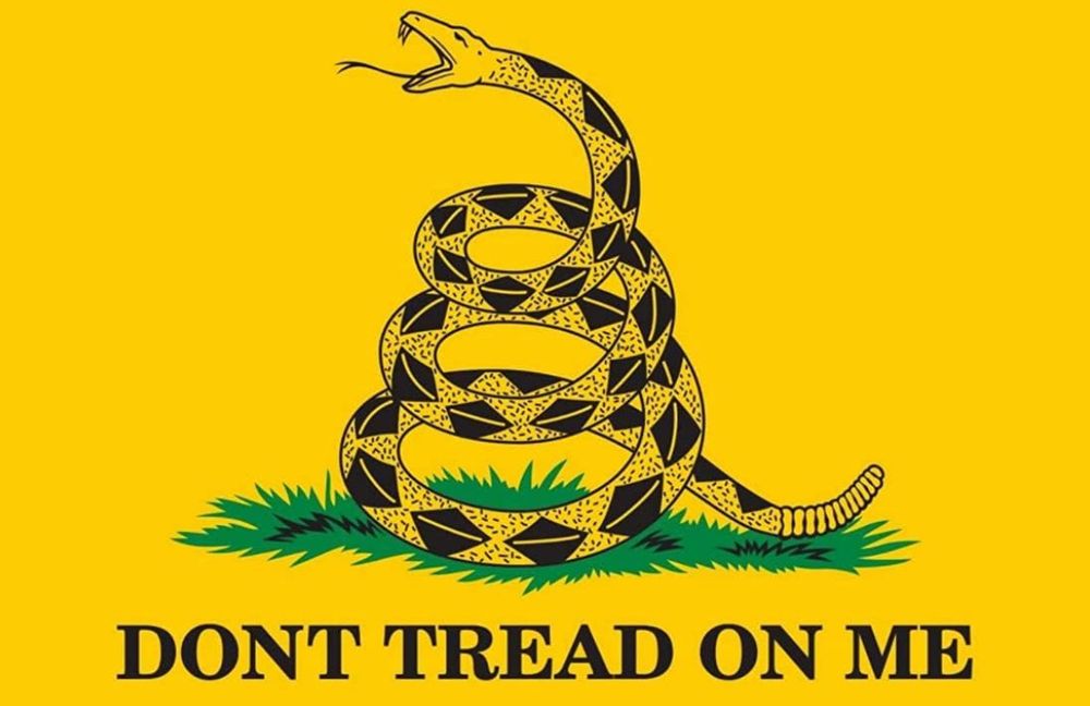 Picture of a flag that says “don’t tread on me”