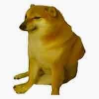 Cheems, a popular Internet meme dog.