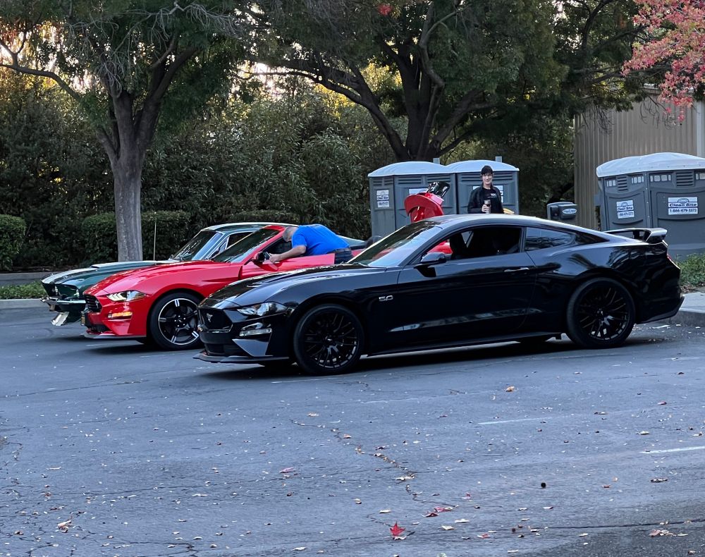 My black 2020 Mustang GT parked in front of a red one of similar vintage, and a classic green one.