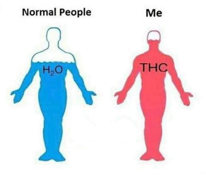 Normal People H2O
Me THC