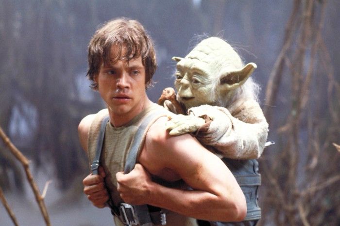 Luke Skywalker with Yoda on his back in a backpack contraption. They stand in the swamps of Dagobah.
