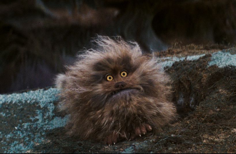 A still from The Dark Crystal. Fizzgig, a round and fuzzy brown creature with piercing yellow eyes, sits on a rock.