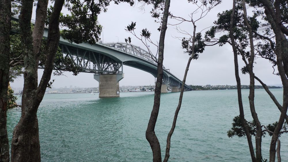 Behind trees looking towards the bridge