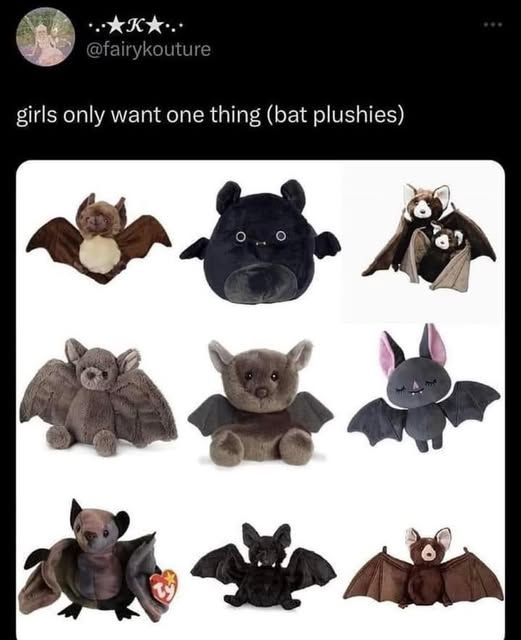 a picture of bat plushies, with the text: girls only want one thing (bat plushies) 