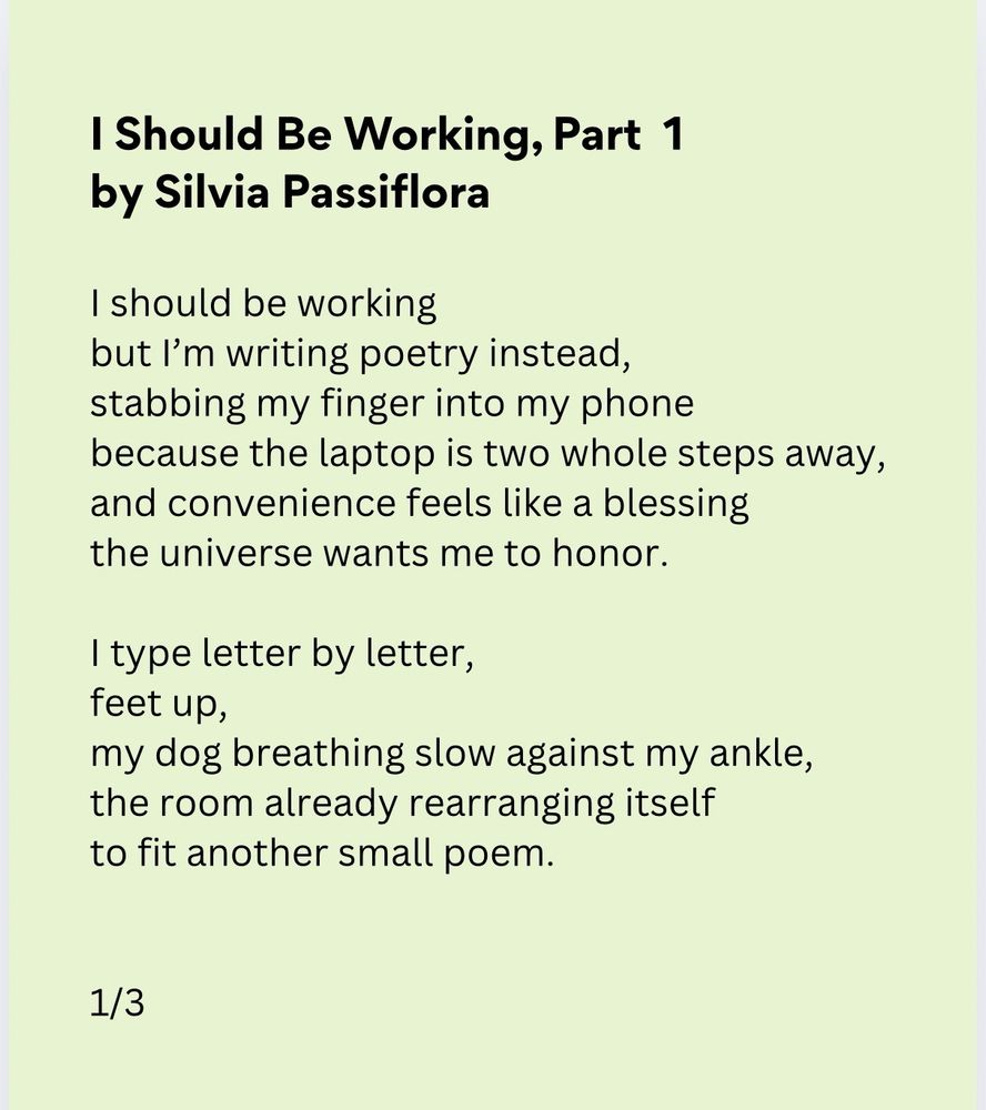 I Should Be Working — Part I

I should be working
but I’m writing poetry instead,
stabbing my finger into my phone
because the laptop is two whole steps away,
and convenience feels like a blessing
the universe wants me to honor.

I type letter by letter,
feet up,
my dog breathing slow against my ankle,
the room already rearranging itself
to fit another small poem.

1/3