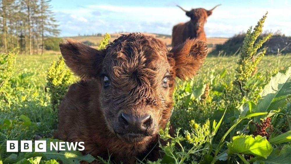 A selection of photographs submitted to BBC Scotland News from around the country this week.