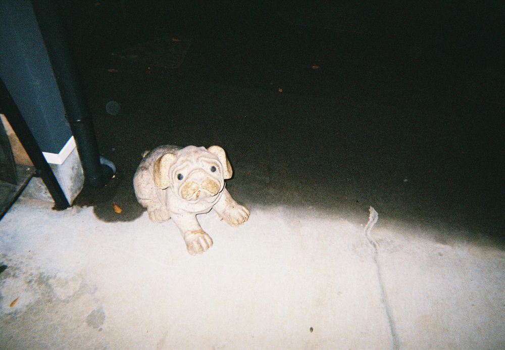 ブルドッグの置物の写真