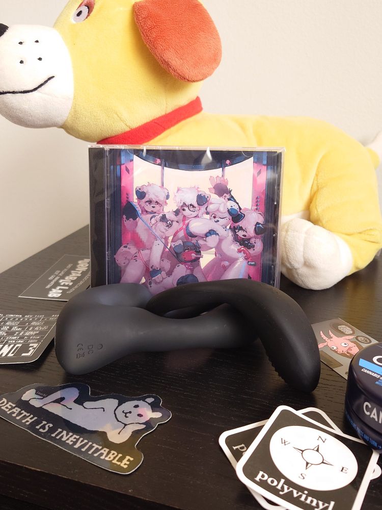 CD case of Pent Up Pup's latest album displayed before several miscellaneous junk I thought was cool to feature in the photo.