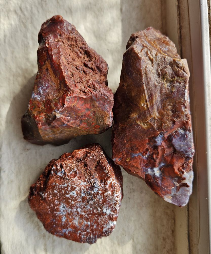 An opaque red to orange-red form of chalcedony with inclusions of blue to gray chalcedony, called agate where banding is present. Three larger specimens sit on a windowsill. One has a very fun bright red dendritic pattern visible on a face which also shows characteristic conchoidal fractures. The largest of the three has really lovely exposed blue agate 