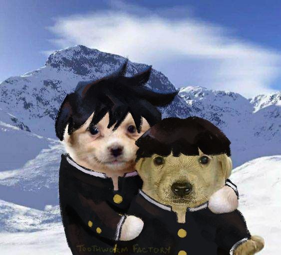 Edited image of two dogs hugging with the hair and school uniforms of Shigeo Kageyama and Ritsu Kageyama from Mob Psycho 100 drawn over.