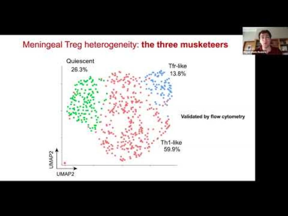 [Miguel Marin] The meninges host a distinct compartment of regulatory T cells that preserves brain