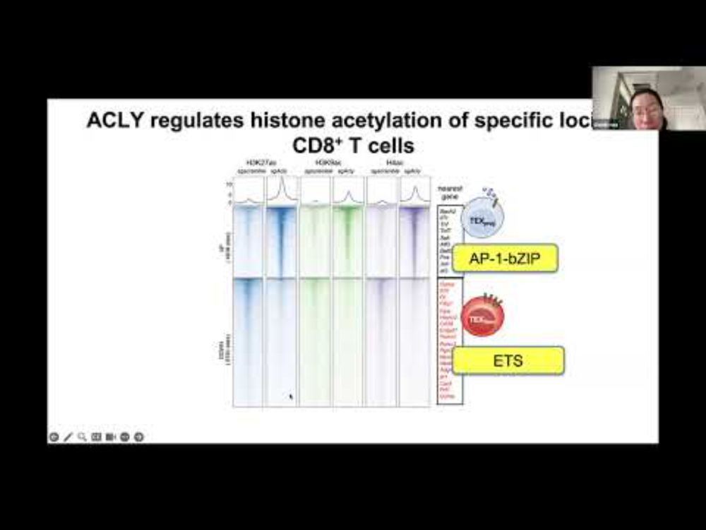[Shixin Ma ]Nutrient-driven histone code determines exhausted CD8+ T cell fates