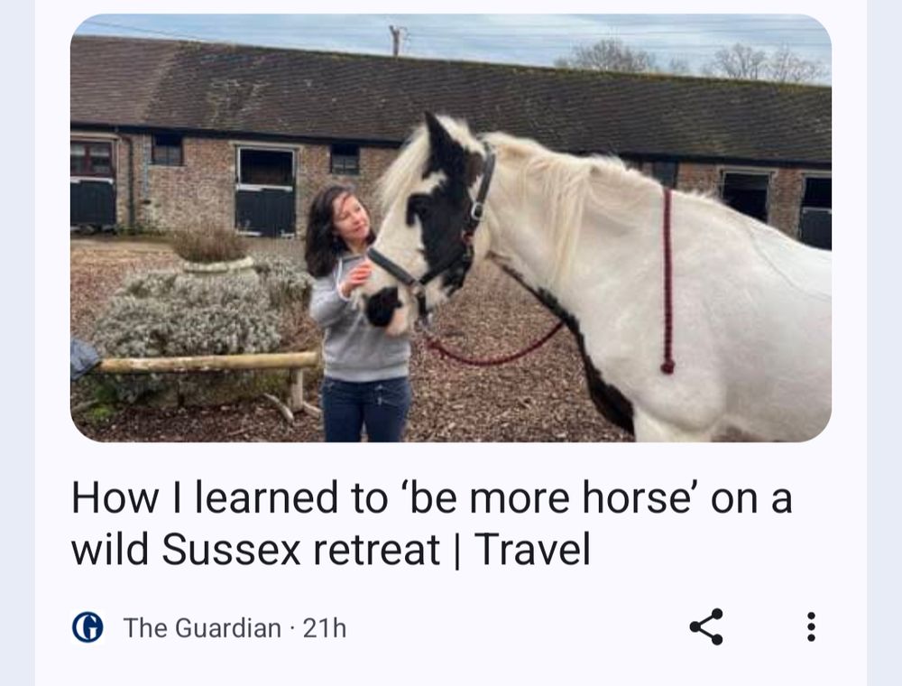 A screenshot of an article detailing someone learning to "be more horse" on a country retreat