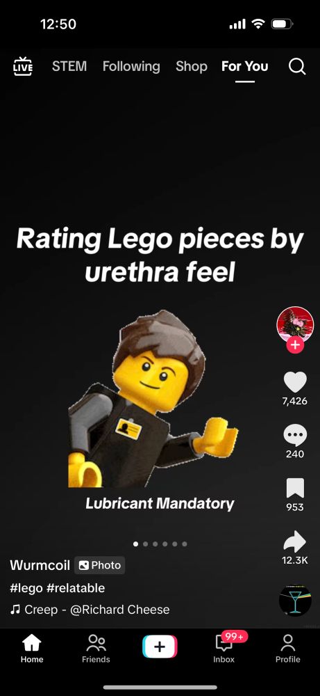 Screenshot of tiktok slide show that begins with “Rating Lego pieces by urethra feel”
