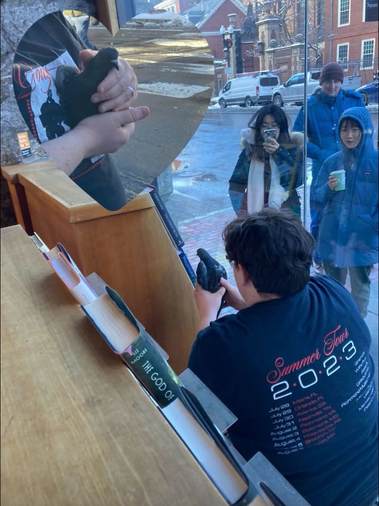Me, picking up a pigeon from a book shelf display case while passersby point and take photos. The photo also include a heart inset featuring a close up of the pigeon. 