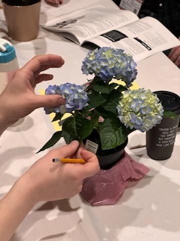 A player engaging with a potted plant with blue and white flowers