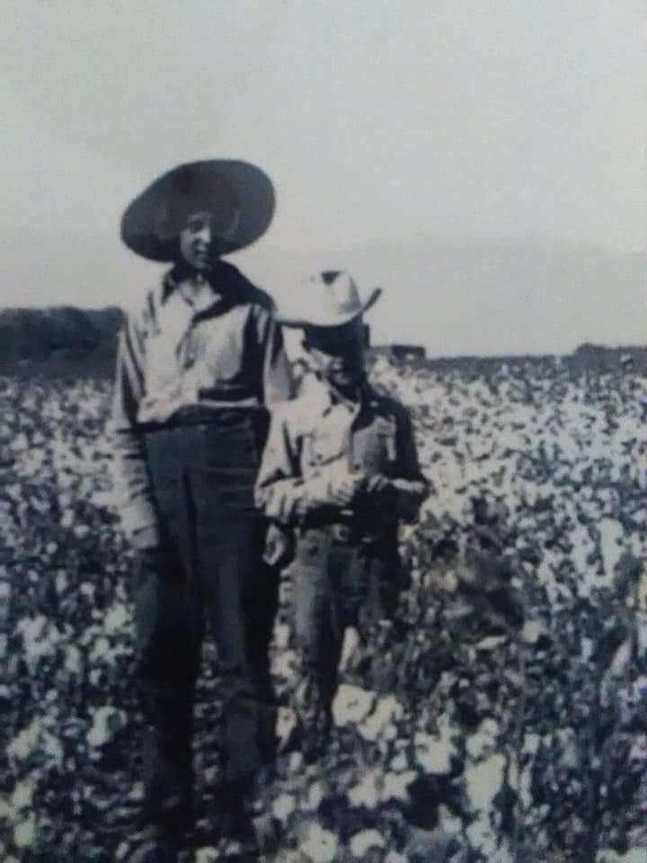 Old picture of woman and boy in a cotton field. 