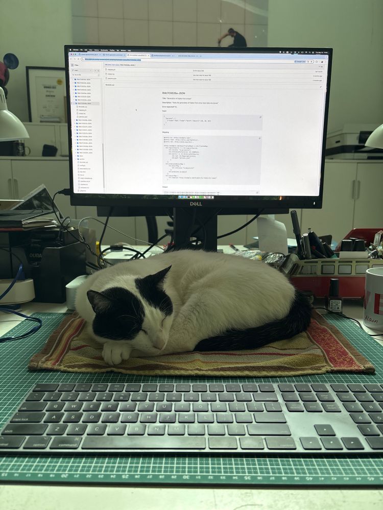 Cat sleeping between keyboard and screen 