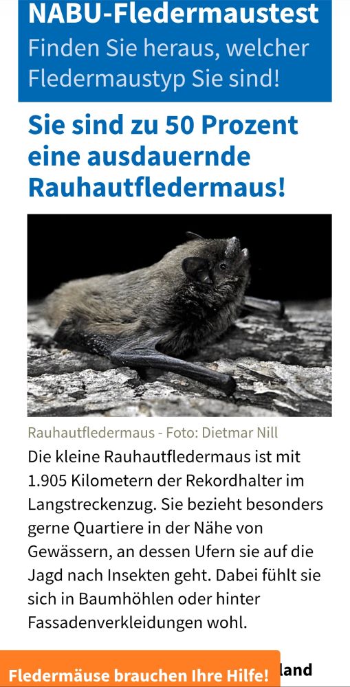 NABU Test Ich bin zu 50% eine ausdauernde Rauhautfledermaus