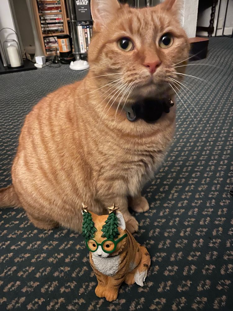Small statue of a ginger cat wearing Christmas tree glasses sitting in front of an actual ginger cat who is clearly unimpressed 