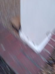 Blurry photo of a package on a porch