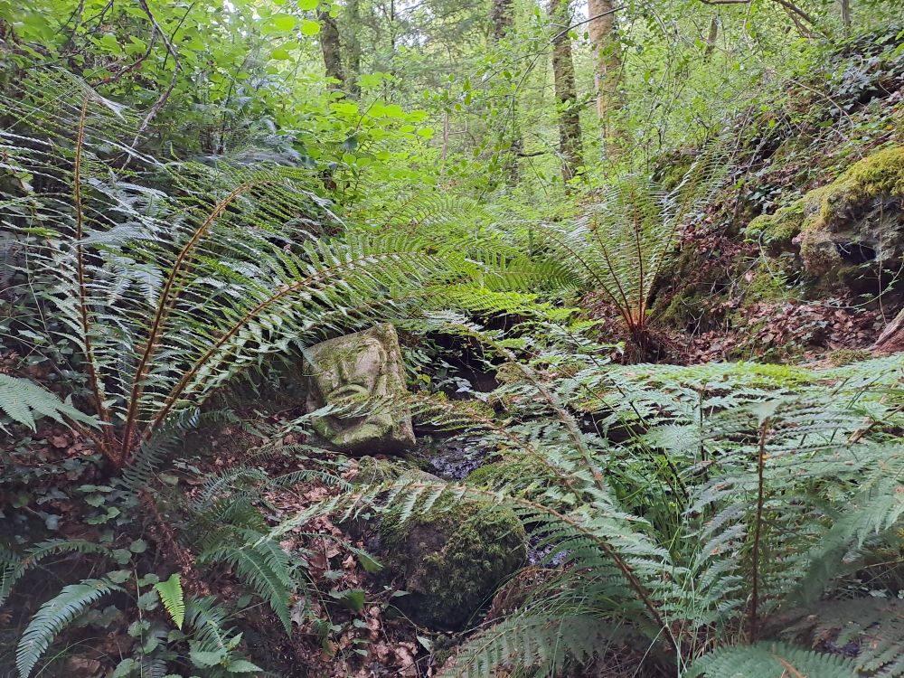 A head carved in stone, near a brook, under ferns. Don't know how long it's been there and why. Always a joy to rest in this peaceful place.