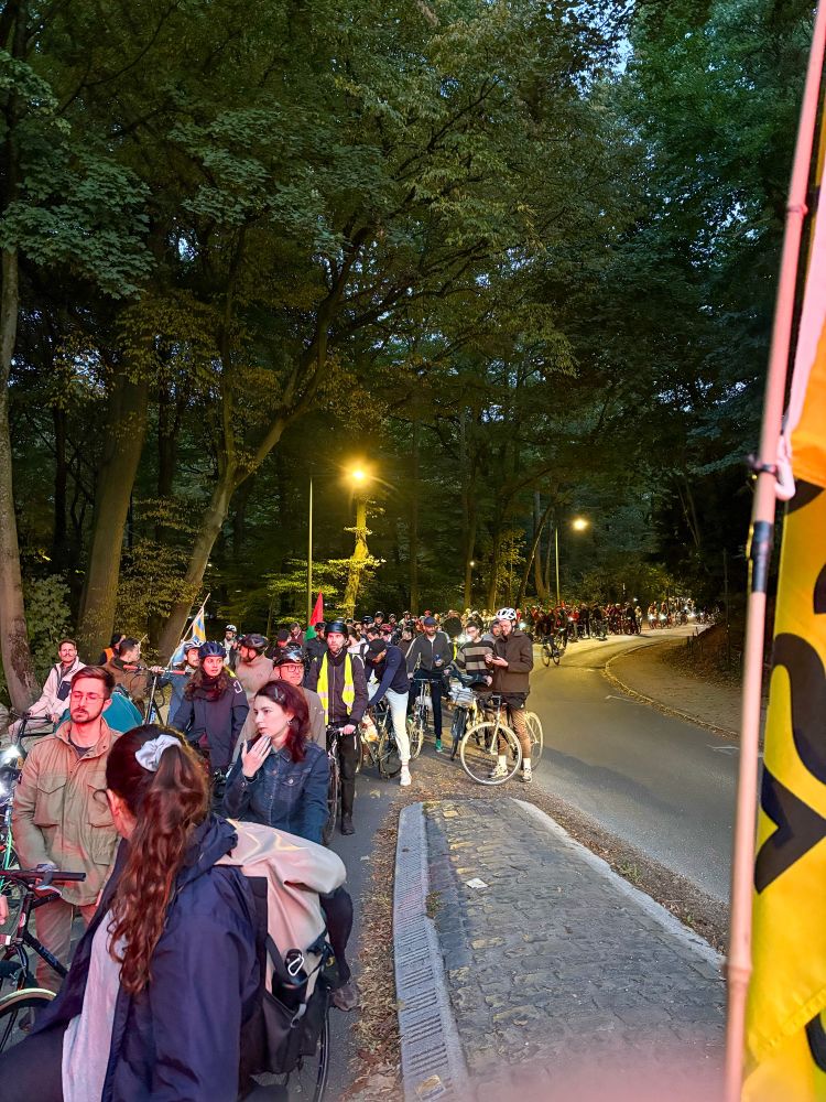 A street-level photo showing a large column of cyclists participating in the Critical Mass event in Brussels, riding through a tree-lined park or wooded area at night or late dusk in September. The crowd of riders, many wearing helmets and some reflective gear, stretches down a paved road illuminated by streetlights. Cyclists are tightly packed, both on the road and on a cobblestone path to the left.