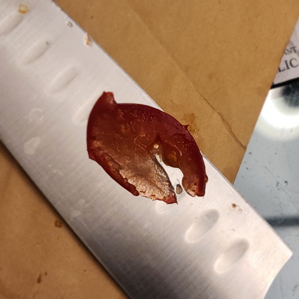 Picture of one of my kitchen knives that was recently sharpened with a sort of thinly sliced tomato.