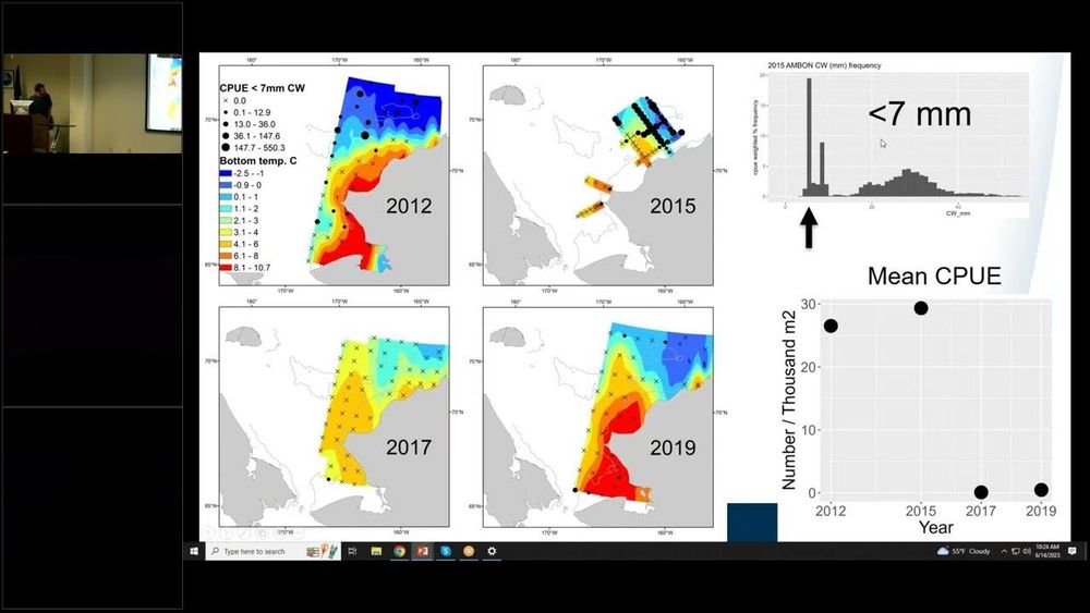 Juvenile snow crab habitat and response to warming in the Chukchi Sea