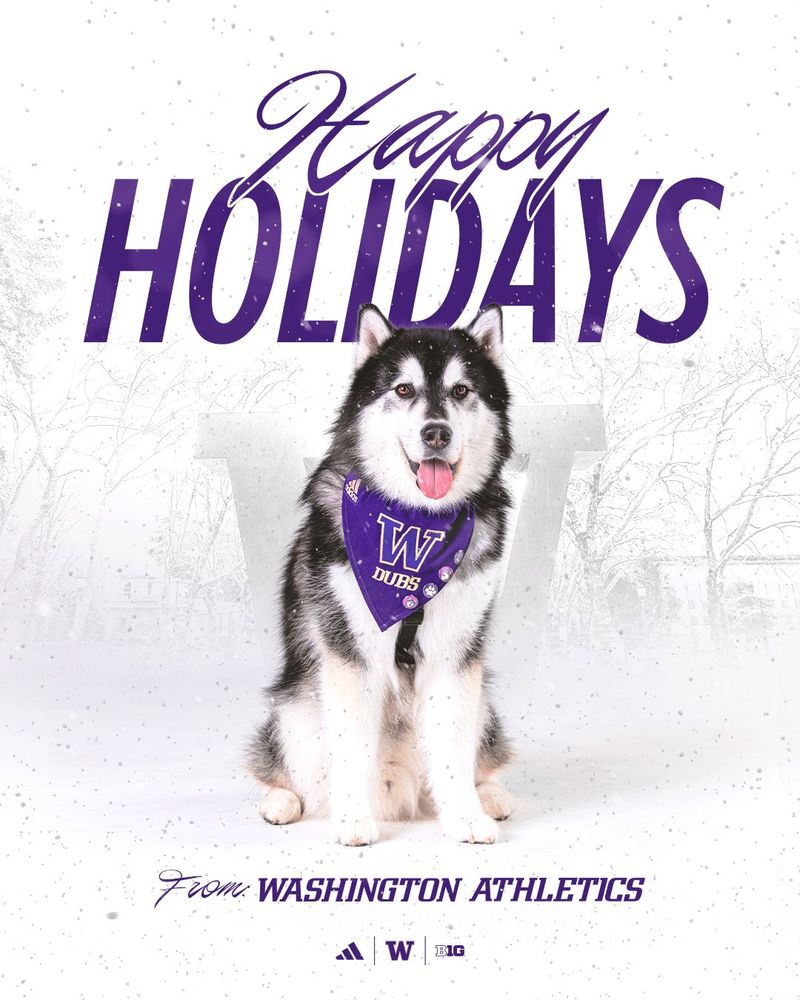 A festive holiday graphic featuring Dubs, the University of Washington’s Husky mascot, wearing a purple bandana with the “W” logo and snow falling gently around him. The text reads “Happy Holidays” in bold purple letters, with “From Washington Athletics” below. The background includes a subtle wintry scene.