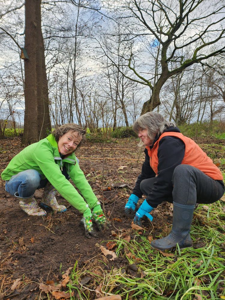 De bosrand 3 meter uitgebreid met inheemse bomen en struiken. 